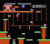 une photo d'Ã©cran de Donkey Kong Jr sur Nintendo Nes